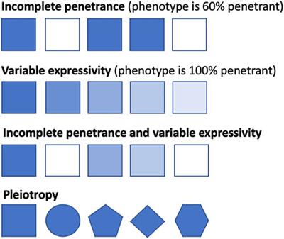 Incomplete Penetrance and Variable Expressivity: From Clinical Studies to Population Cohorts